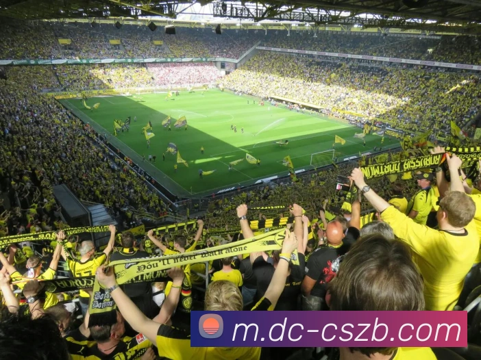 彩神争霸发展历程